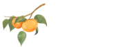 和歌山県で柿のことなら前谷園